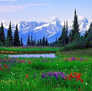 Meet your Posher, Harvey antonio